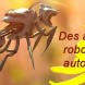 Des abeilles robotises autonomes