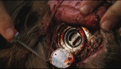 Terminator : The Sarah Connor Chronicles Pices de Terminator 